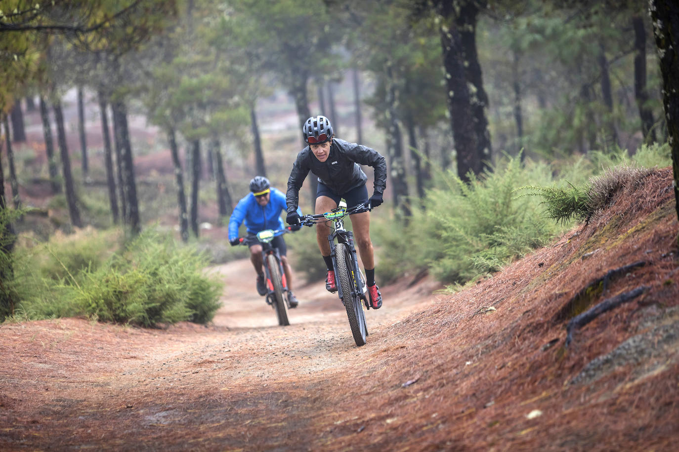 Todo listo para echar a rodar.