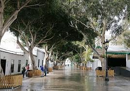 ¿Si no es ahora, cuándo?