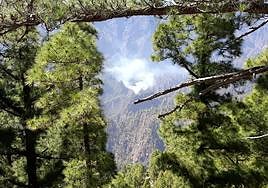 La orografía, principal enemigo para controlar el incendio de La Palma