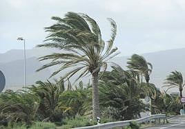 Imagen de archivo de un episodio de viento en Gran Canaria.