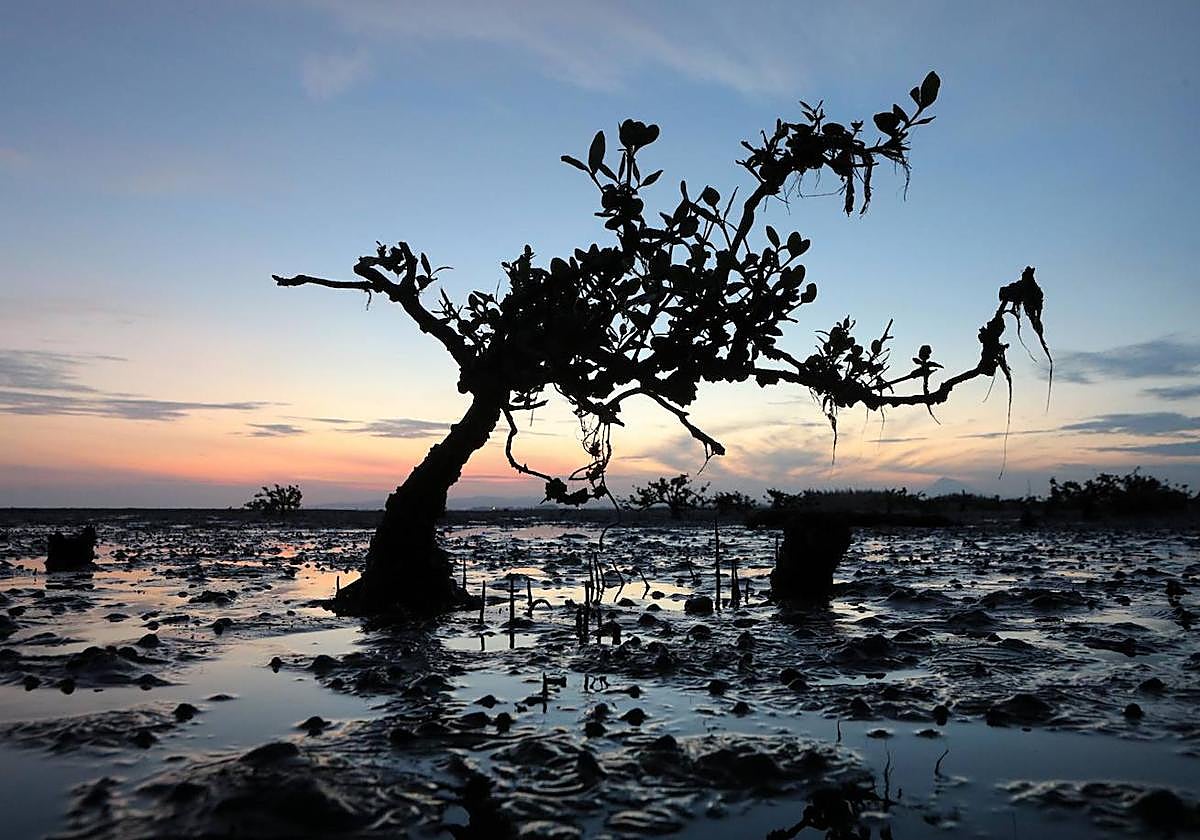 El día, en imagenes