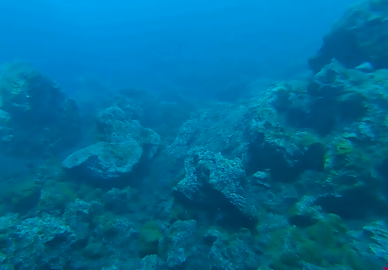 Las imágenes tomadas por un dron submarino.