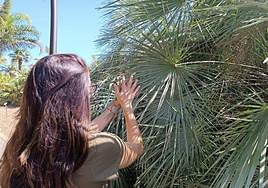 Fundación Cepsa colabora en el primer ciclo de visitas inclusivas al Palmetum de Santa Cruz