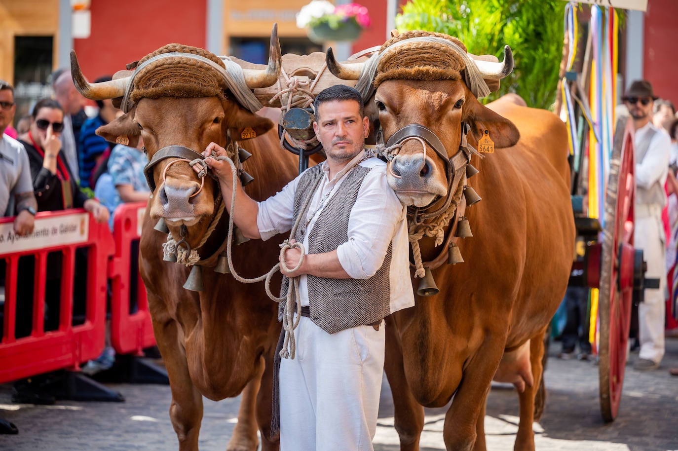 Romería infantil en Gáldar