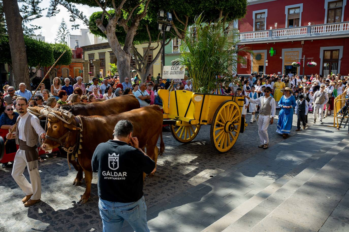 Romería infantil en Gáldar