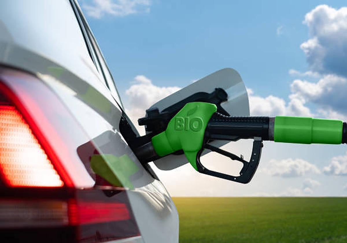 Un pacto por los ecocombustibles para descarbonizar las Islas Canarias