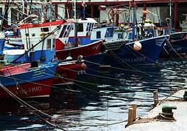 Barcos artesanales de pesca atracados en el Puerto de Mogán.