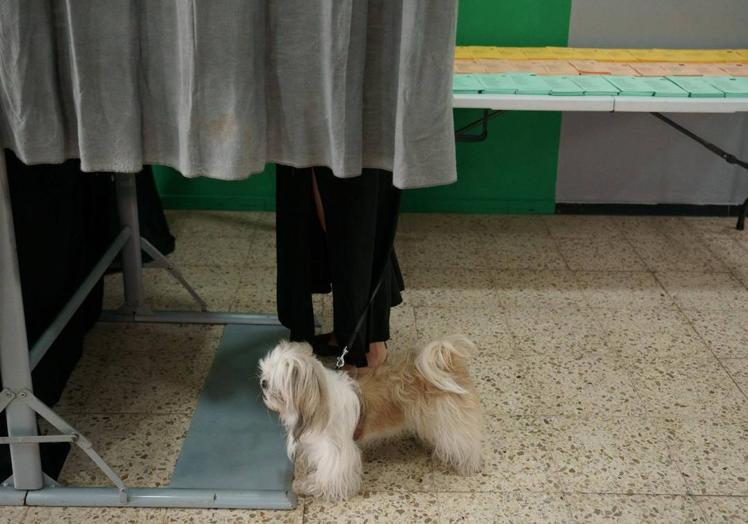 Un perro acompaña a su dueña a votar.