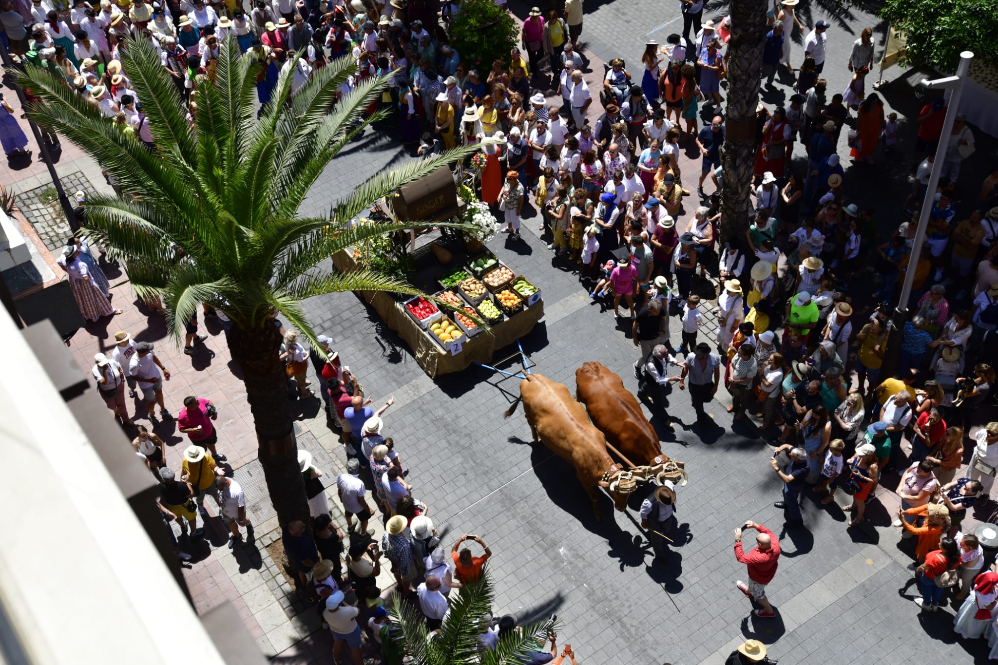 El Paseo Romero, en imágenes