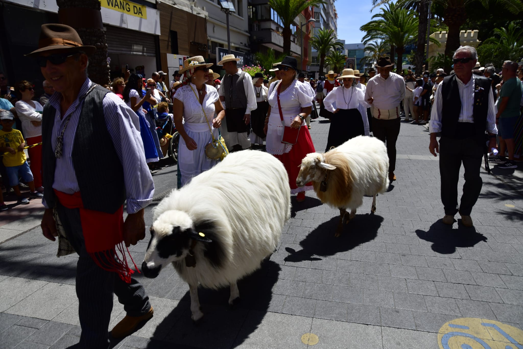El Paseo Romero, en imágenes