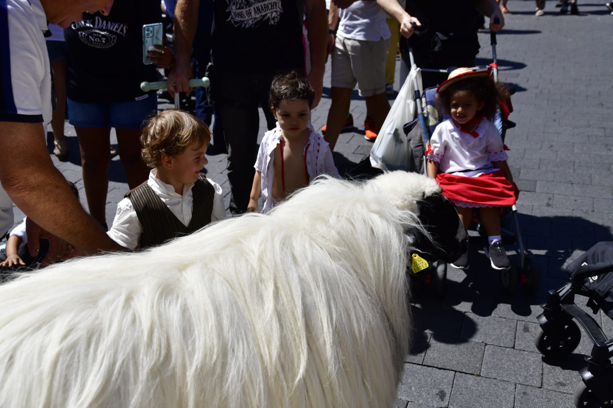 El Paseo Romero, en imágenes