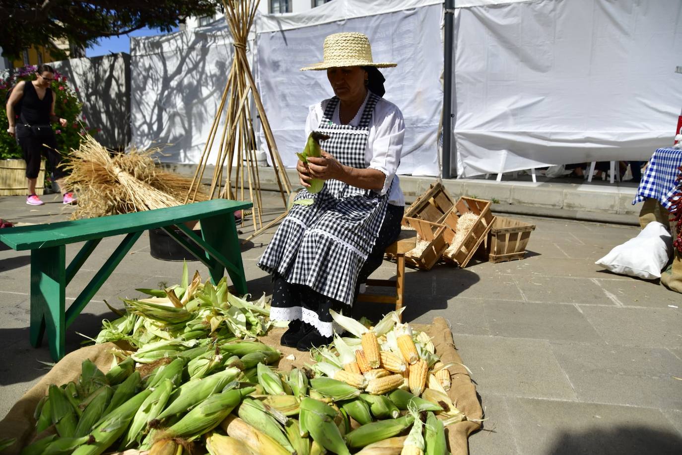 La plaza San Juan acoge el Día de Canarias