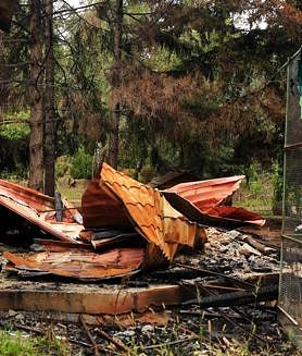 Imagen secundaria 2 - Loro Parque envía 20.000 euros en alimentos para los animales de Ucrania