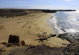 En la Reserva de la Biosfera de Lanzarote existe «un ecosistema único, con unas especies de muy alto valor», advierten los expertos.