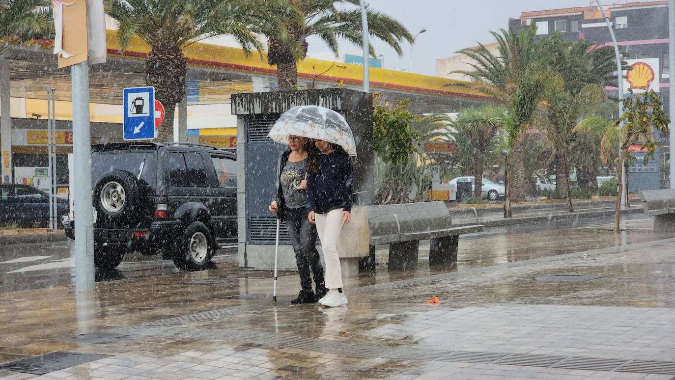 Imagen de la llegada de Óscar a Vecindario, en Gran Canaria