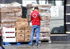 Imagen de archivo de una entrega de alimentos de Cruz Roja.