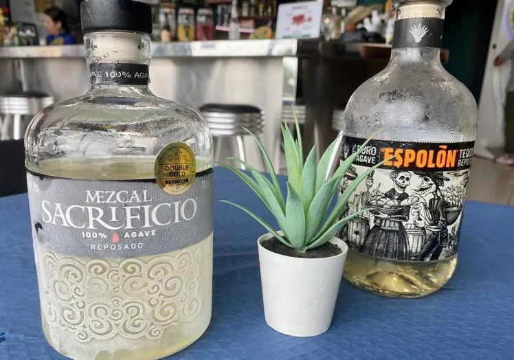 Mezcal y tequila mejicano