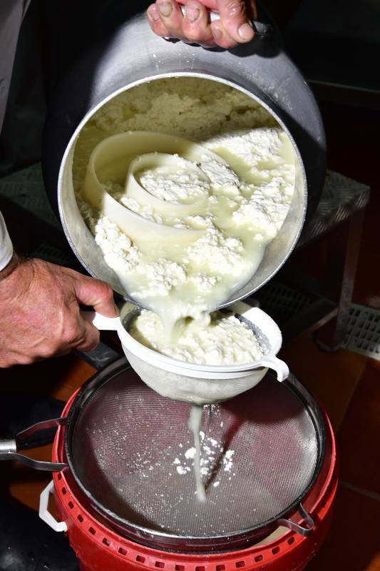 El cortijo de Caideros ensaya un queso de cuajo con fermentos naturales de la leche cruda de oveja