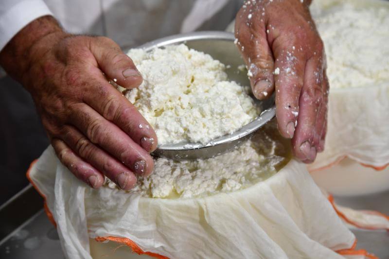 El cortijo de Caideros ensaya un queso de cuajo con fermentos naturales de la leche cruda de oveja