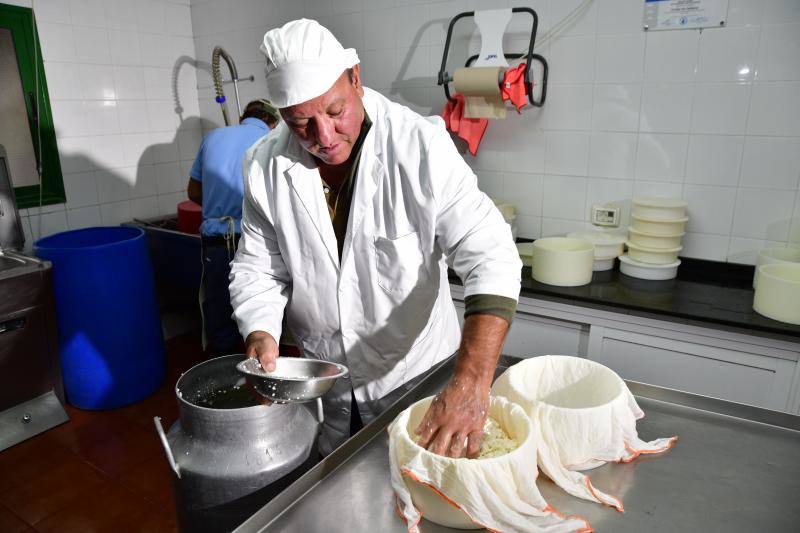El cortijo de Caideros ensaya un queso de cuajo con fermentos naturales de la leche cruda de oveja