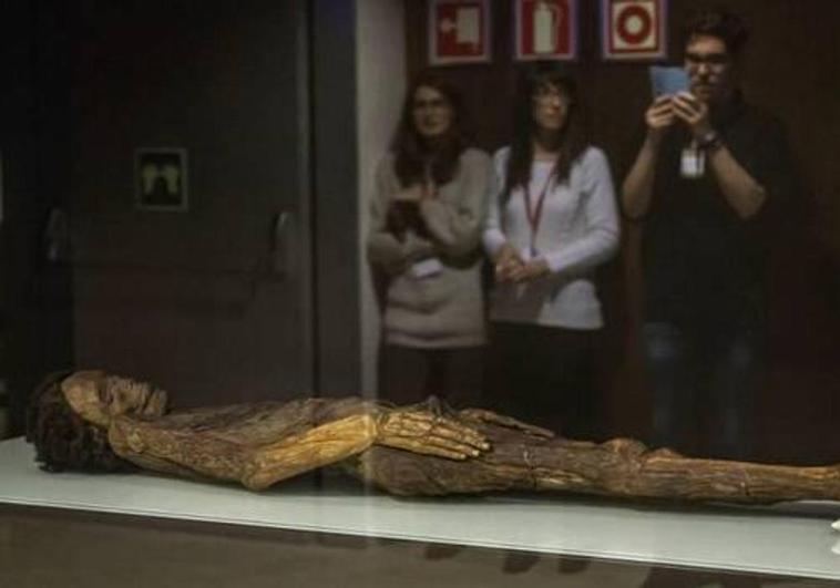 ¿Es posible hacer una inmersión lingüística en guanche?