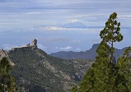 La isla de Gran Canaria crece en algunos mercados emisores con fuerza, como en Holanda, Irlanda y Francia, con la llegada de más visitantes que antes del covid. Los alemanes y los nórdicos siguen sin recuperarse en su totalidad.
