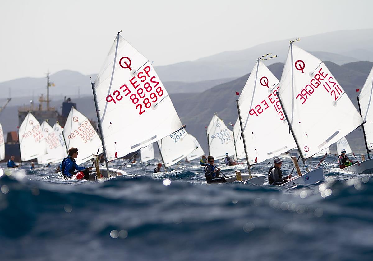 Chiquillos en una regata de optimist.