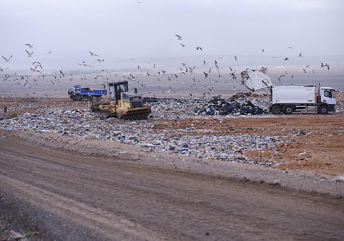 The City Council Awards Management of Four Recycling Centers and Three Waste Plants The City Council Awards Management of Four Recycling Centers and Three Waste Plants