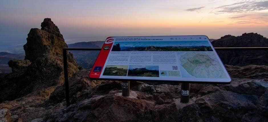 Para sentir la esencia de un lugar y empaparse de su atmósfera, nada mejor que subir a su punto más alto. En Gran Canaria, esa atalaya es el mirador del Pico de Las Nieves, situado en el mismo centro de la isla, a 1.949 metros de altitud. Desde allí se ve el amplio sector de la isla declarado Reserva de la Biosfera por la Unesco, con su infinidad de barrancos profundos y de aristas afiladas, cubiertos de vegetación y coronados por pitones volcánicos de formas enigmáticas.