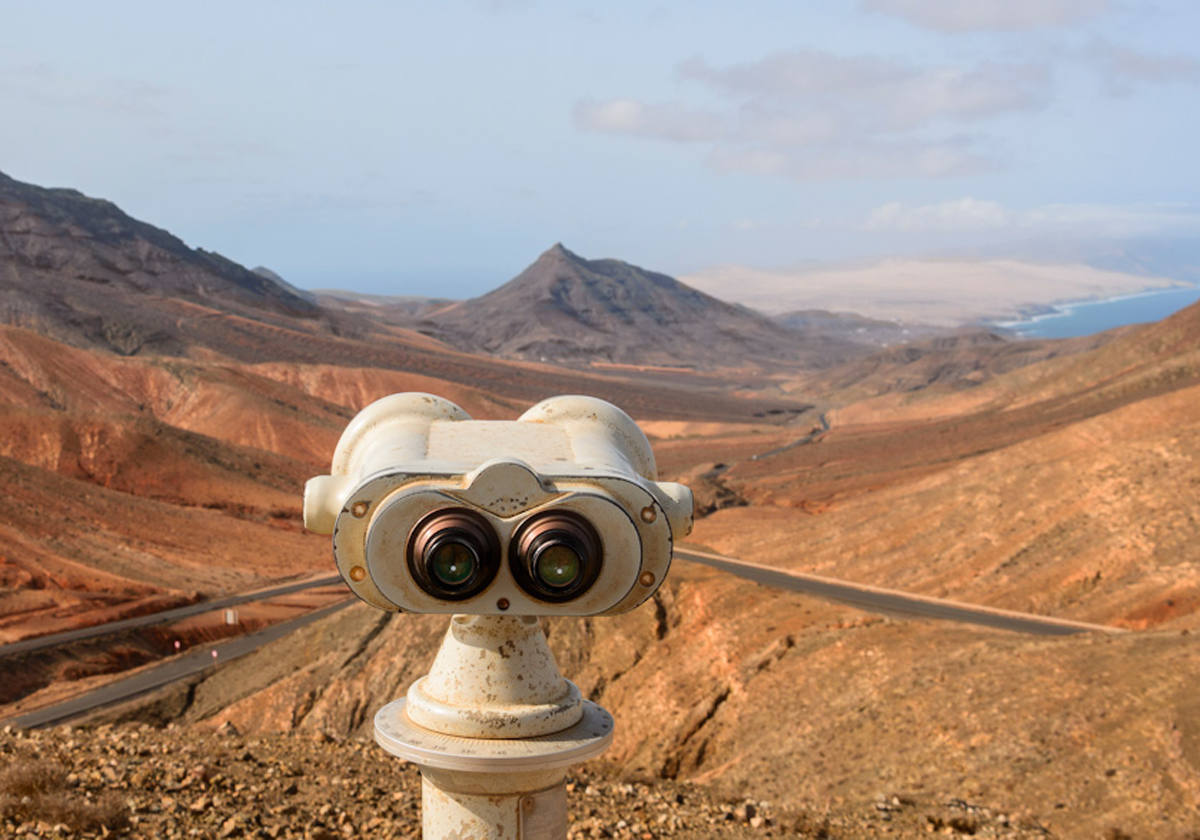 Esta zona hay poca vegetación.- Algunas pequeñas tabaibas dulce, formado decenas de ejemplares de Euphorbia balsamífera, así como algunos de verodales en las áreas más elevadas de la montaña de Sicasumbre. También hay importante poblaciones de Convolvulus descubiertas recientemente, sobretodo en la vertiente suroeste de Montaña Redonda o Hendida y otra en los alrededores del mirador de Sicasumbre.