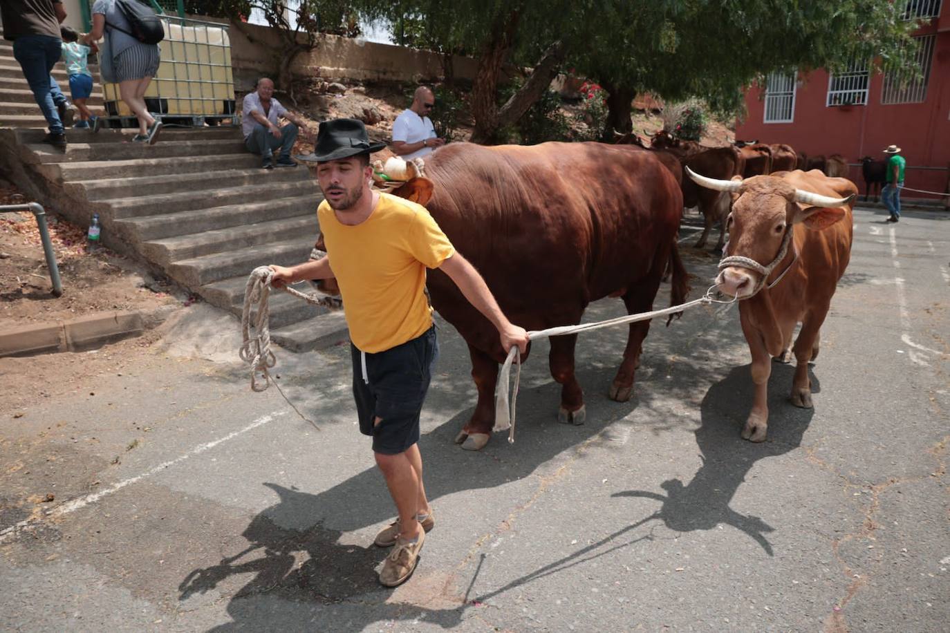 Dos santos y una misma fiesta en Ingenio