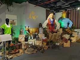 La exposición 'Canarias, de la historia al presente', en imágenes