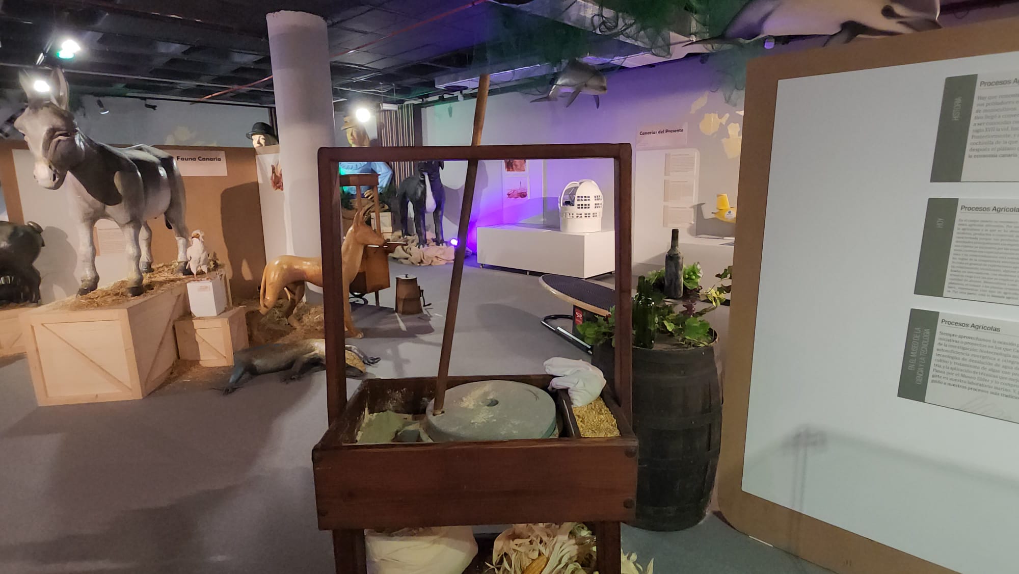 La exposición &#039;Canarias, de la historia al presente&#039;, en imágenes