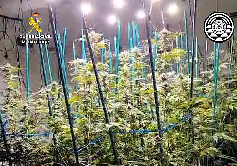 Imagen de la finca desmantelada.