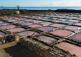 Salinas de Tenefé.