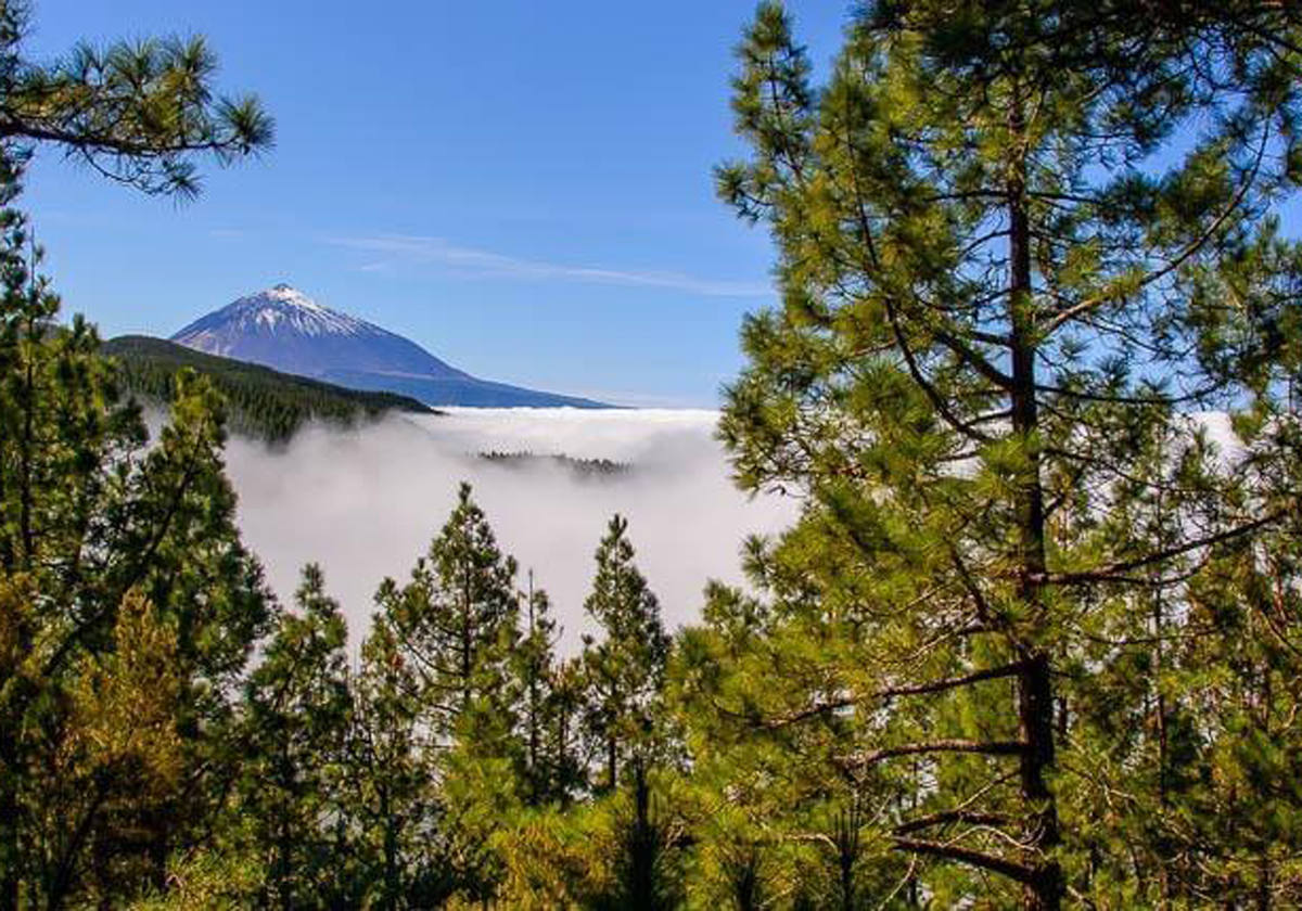 Fotografía junto a la montaña más alta de España.- El mirador de Ortuño es la parada más popular para los que suben o bajan del Parque Nacional del Teide por la dorsal montañosa de Tenerife, especialmente al final del día, cuando el mirador regala uno de sus atardeceres espectaculares. El sol se pone junto a la montaña más alta de España, bañando de tonos rojizos y purpúreos las empinadas laderas norte de la isla y el mar que moja sus pies. Es el paraíso para los aficionados a la fotografía.