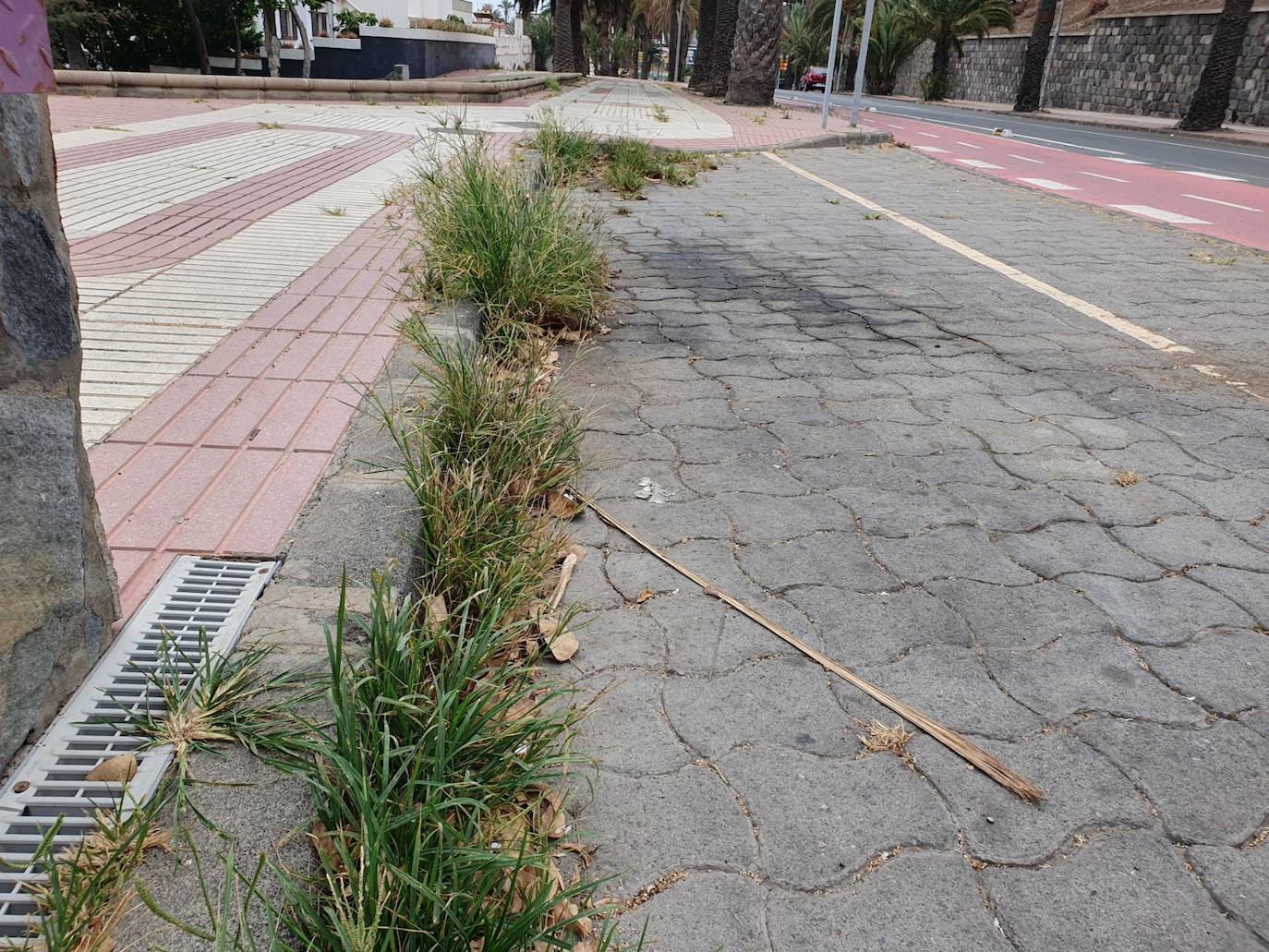 ¿En verano o en otoño?