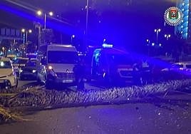 Imagen de la palmera que cayó en el accidente ocurrido este sábado en Las Palmas de Gran Canaria.