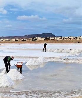 Imagen secundaria 2 - Frutas, pescados y salinas en Isla de Sal, Cabo Verde