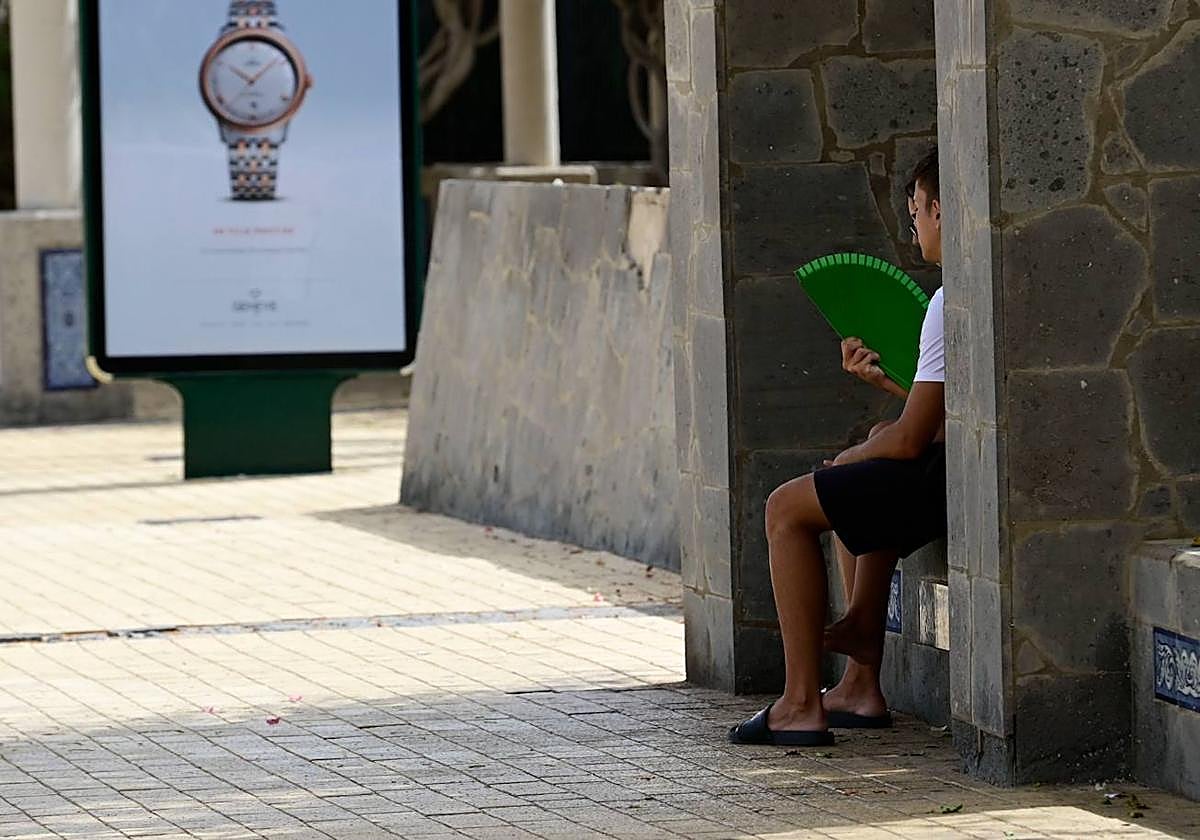 El tiempo reinante ha sacado los abanicos del armario y elevado el valor de la sombra.