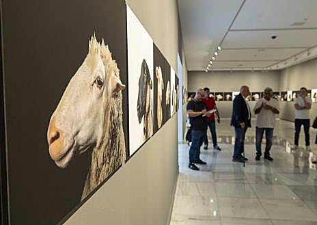 Imagen secundaria 1 - Distintas imágenes de la doble exposición, en el CAAM.