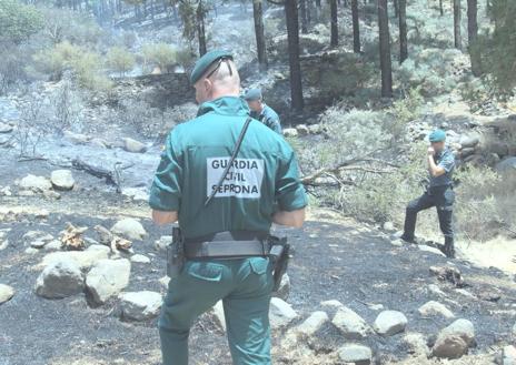 Imagen secundaria 1 - Una imprudencia con una desbrozadora causó el incendio de Gran Canaria