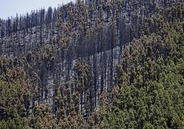 El Cortijo de las Huertas, donde se inició el fuego