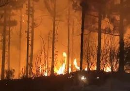 Impactantes imágenes del fuego en la cumbre durante la noche.