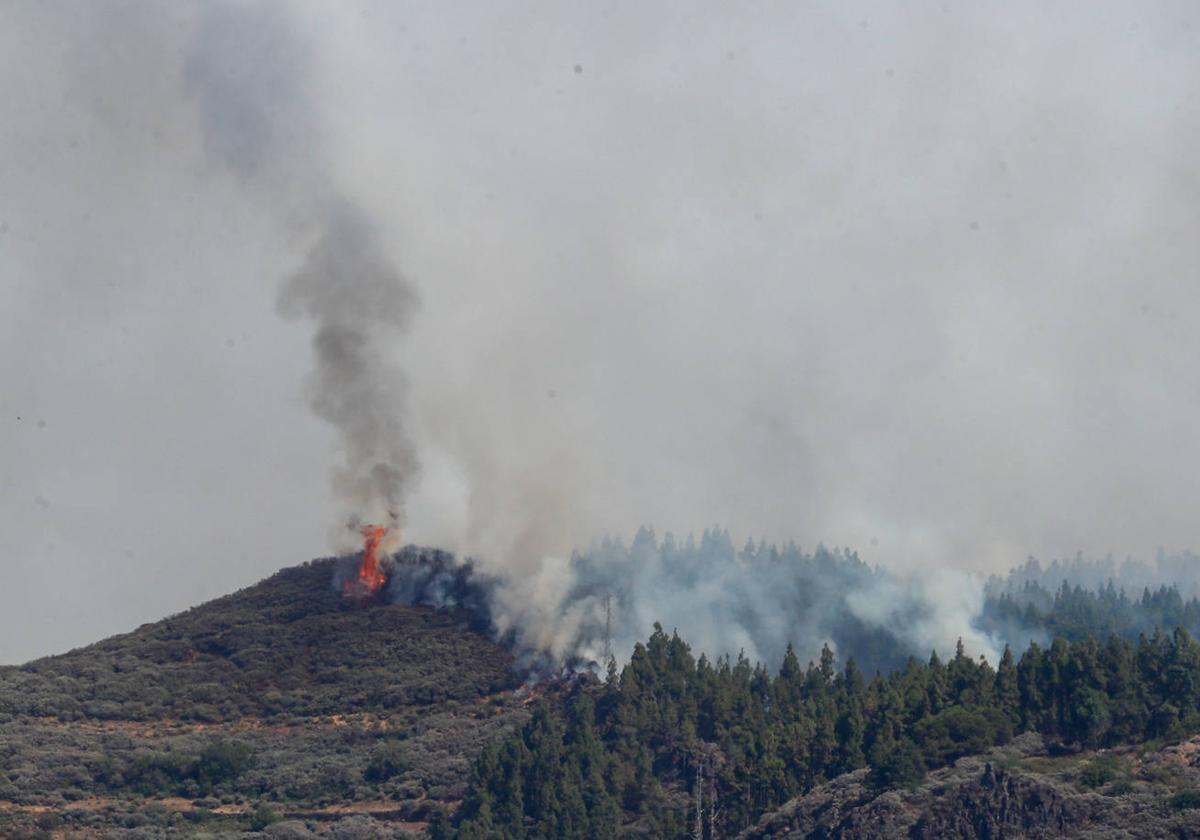El incendio comenzó en el cortijo de Huertas, en Tejeda, y subió rápidamente al Pico de Las Nieves.