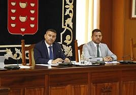 El presidente Oswaldo Betancort, en el pleno ordinario del Cabildo.