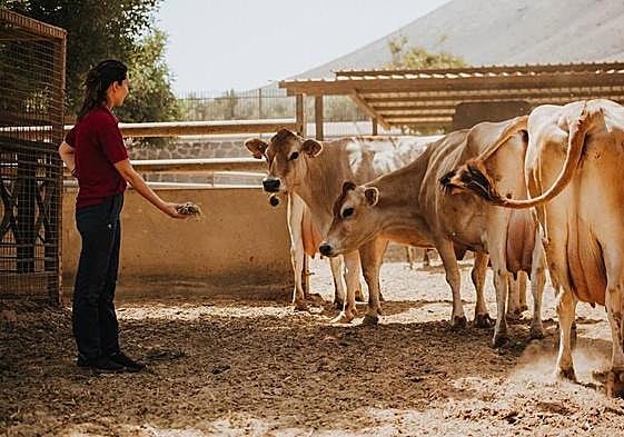 Finca de Uga, en Lanzarote.