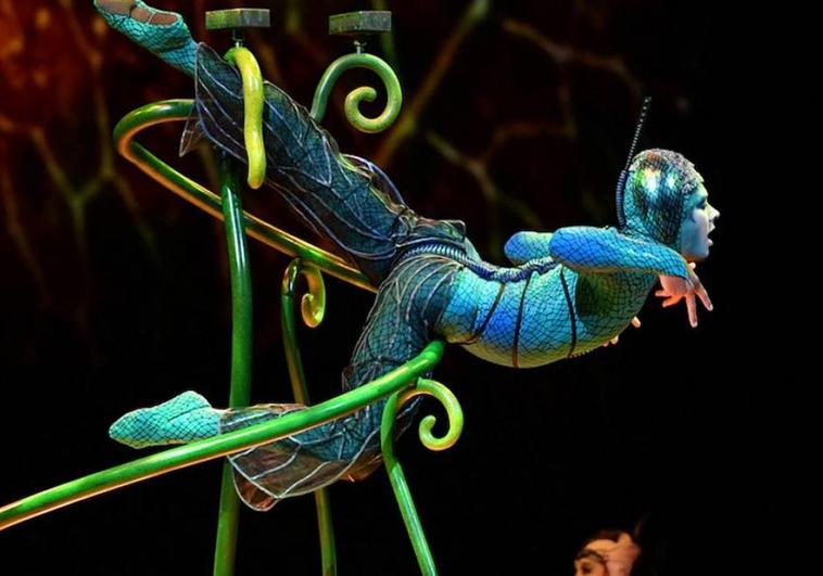 CANARIAS7 sortea cinco entradas para dos personas al OVO de Cirque du Soleil