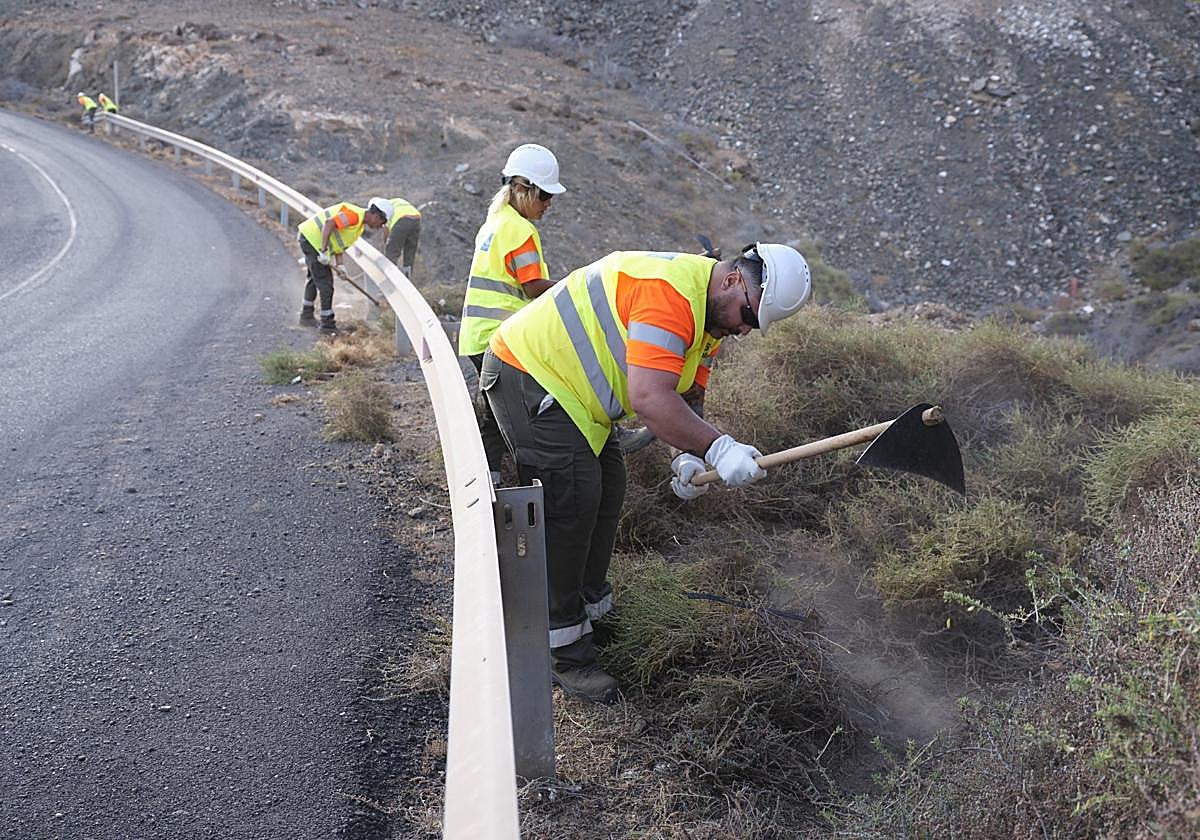 Operarios arrancan los matos de la carretera de la Playa del Valle.