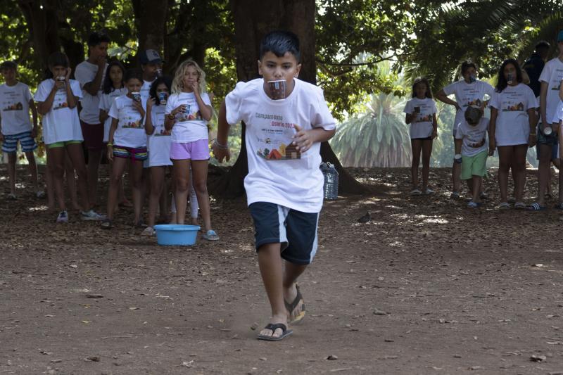 Imagen secundaria 1 - Monitores y niños inician el día en Osorio.